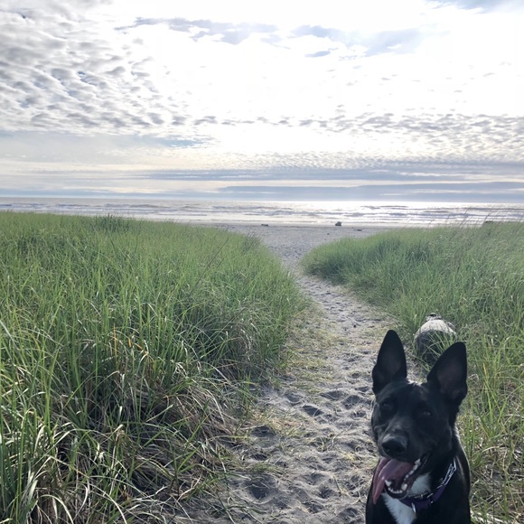 Meet your Posher - Picture 1 of 1